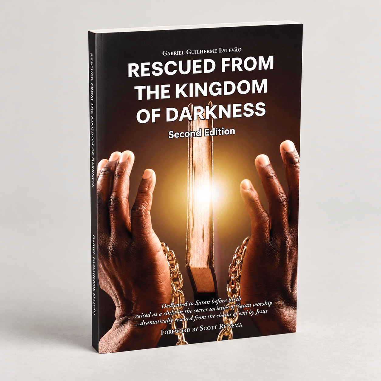 Rescued from the Kingdom of Darkness - by Gabriel Estevão - Image 2